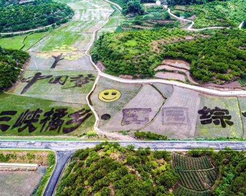 三峡橘乡田园综合体建设试点项目-游客集散中心项目